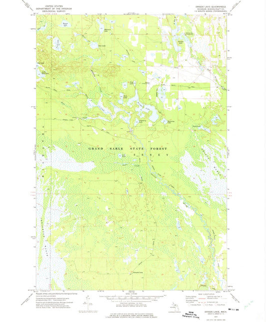 Classic USGS Driggs Lake Michigan 7.5'x7.5' Topo Map Image