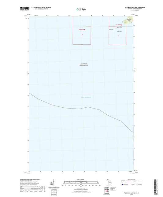 Feldtmann Lake OE W Michigan US Topo Map Image