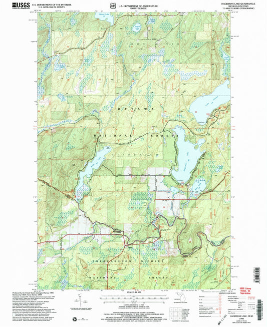 Classic USGS Hagerman Lake Michigan 7.5'x7.5' Topo Map Image
