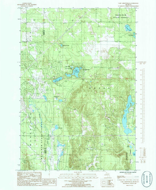 Classic USGS Lake Arrowhead Michigan 7.5'x7.5' Topo Map Image