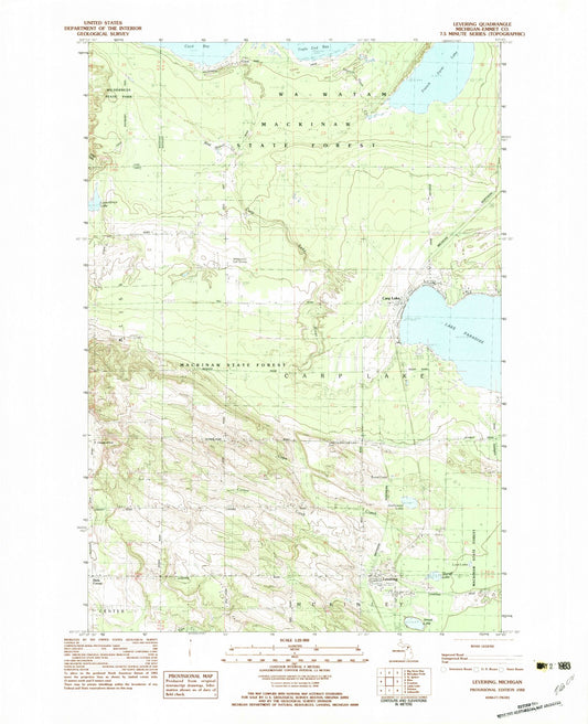 Classic USGS Levering Michigan 7.5'x7.5' Topo Map Image