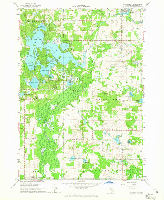 Classic USGS Mecosta NW Michigan 7.5'x7.5' Topo Map Image