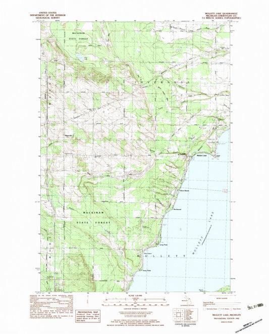 Classic USGS Mullett Lake Michigan 7.5'x7.5' Topo Map Image