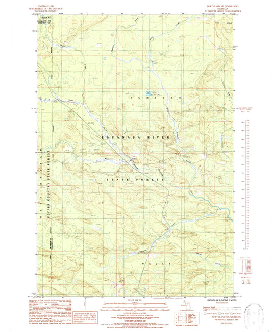 Classic USGS Northland NE Michigan 7.5'x7.5' Topo Map Image