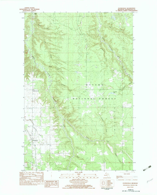 Classic USGS Paynesville Michigan 7.5'x7.5' Topo Map Image