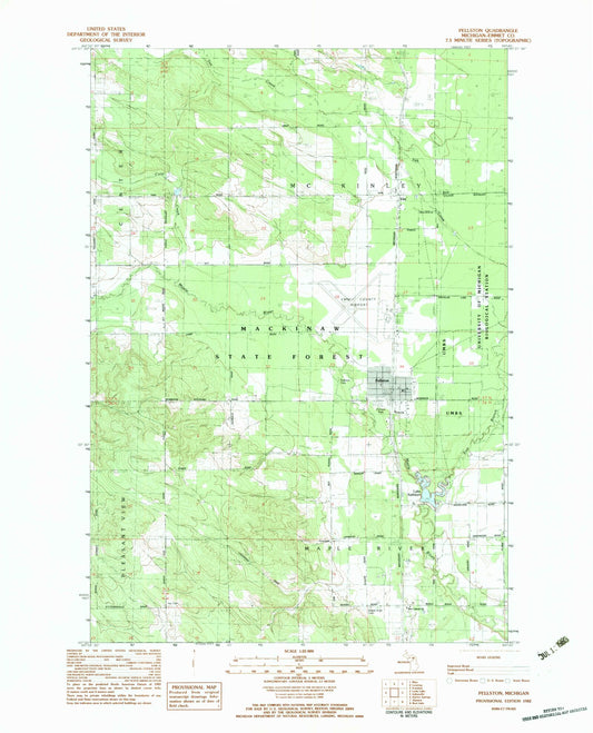Classic USGS Pellston Michigan 7.5'x7.5' Topo Map Image