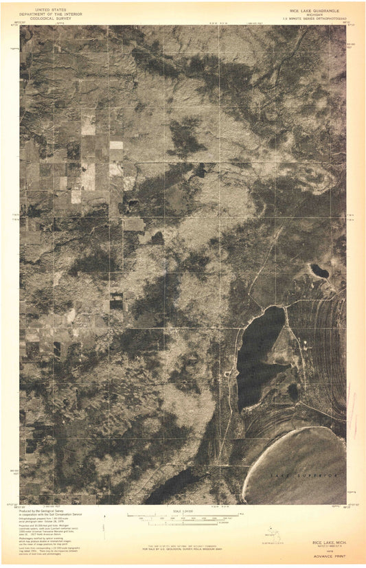 Classic USGS Rice Lake Michigan 7.5'x7.5' Topo Map Image