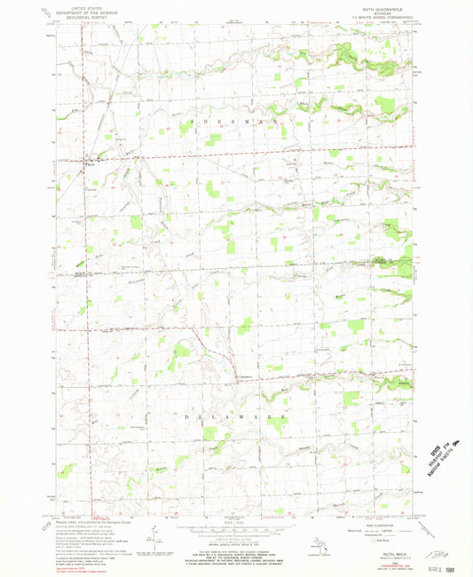 Classic USGS Ruth Michigan 7.5'x7.5' Topo Map Image