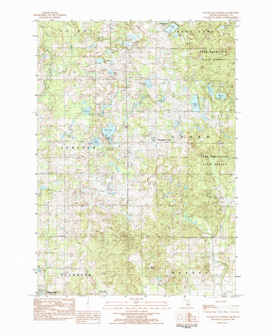Classic USGS Slaybaugh Corner Michigan 7.5'x7.5' Topo Map Image