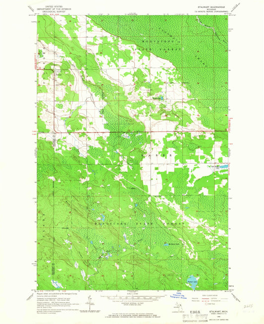 Classic USGS Stalwart Michigan 7.5'x7.5' Topo Map Image