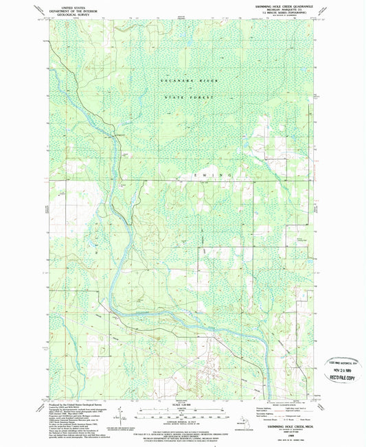Classic USGS Swimming Hole Creek Michigan 7.5'x7.5' Topo Map Image