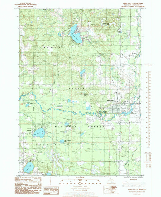 Classic USGS White Cloud Michigan 7.5'x7.5' Topo Map Image