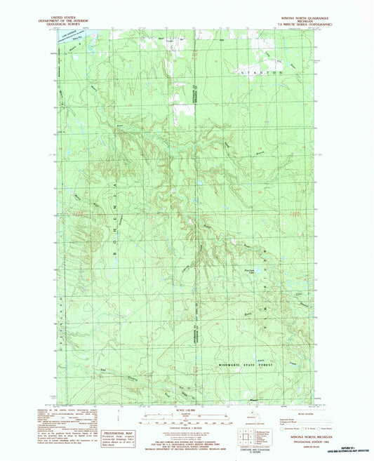 Classic USGS Winona North Michigan 7.5'x7.5' Topo Map Image