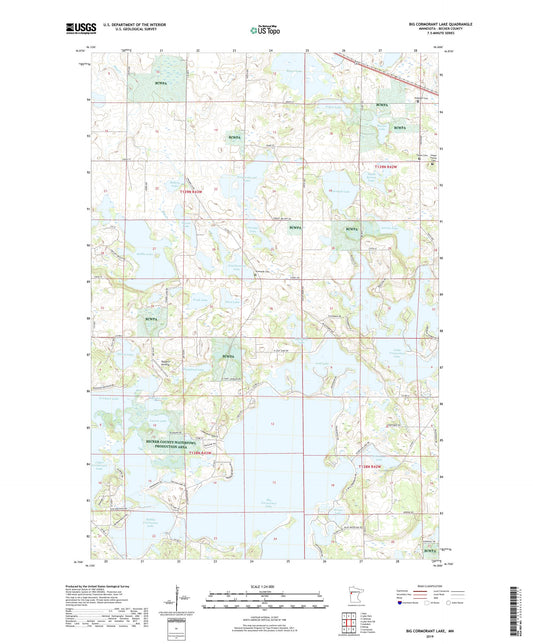 Big Cormorant Lake Minnesota US Topo Map Image