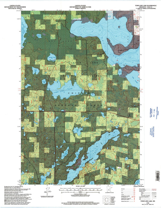 Classic USGS Town Line Lake Minnesota 7.5'x7.5' Topo Map Image