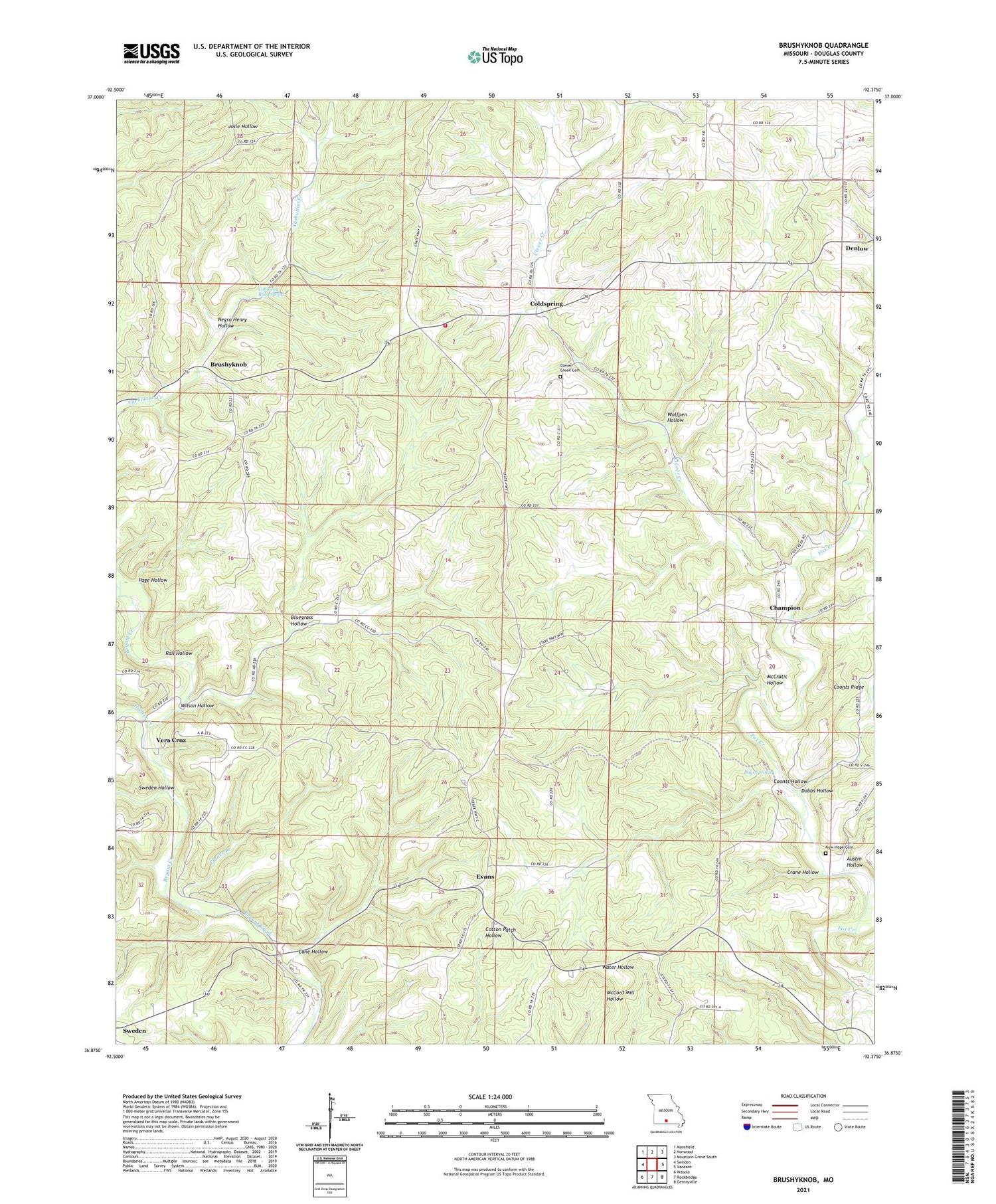 Brushyknob Missouri US Topo Map Image