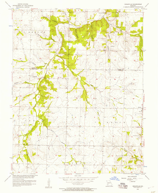 Classic USGS Cedarville Missouri 7.5'x7.5' Topo Map Image
