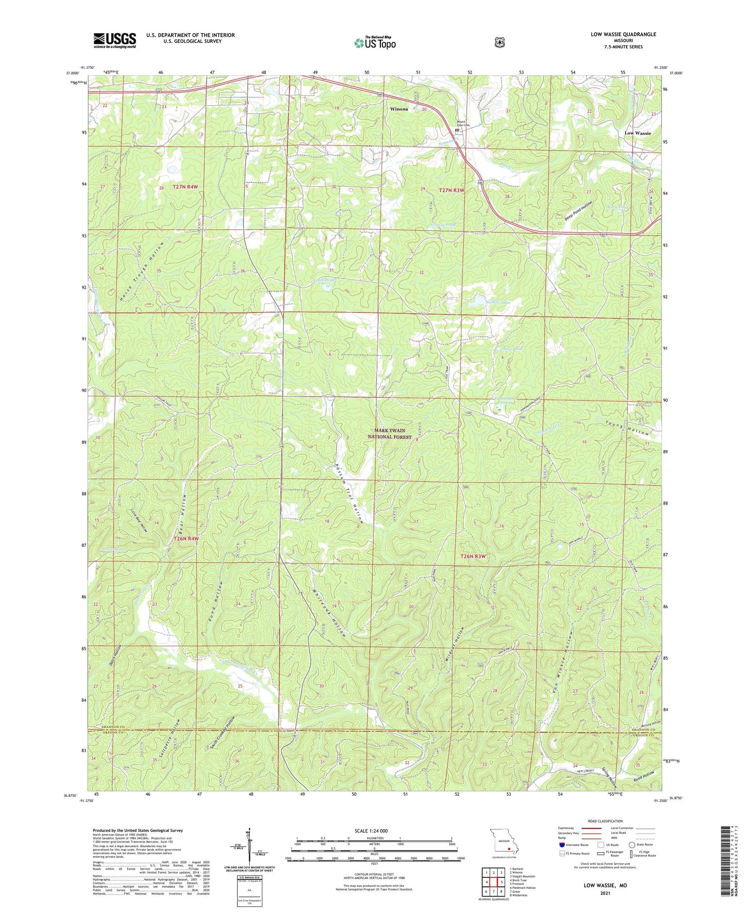 Low Wassie Missouri US Topo Map Image