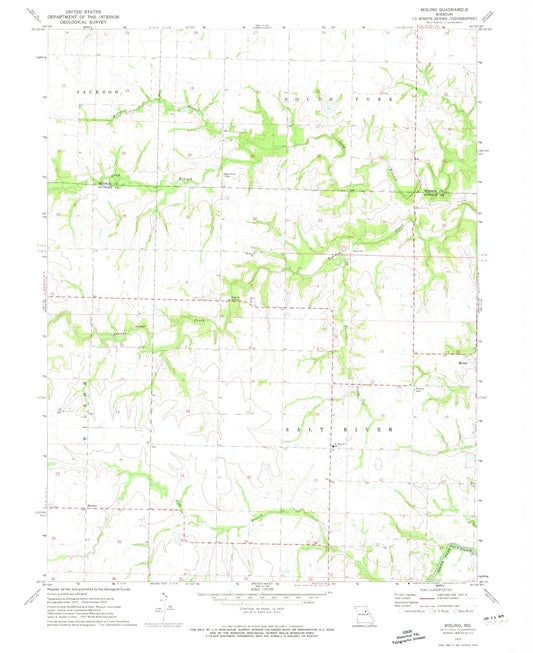 Classic USGS Molino Missouri 7.5'x7.5' Topo Map Image