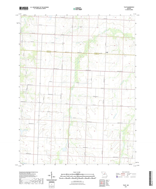 Tulip Missouri US Topo Map Image