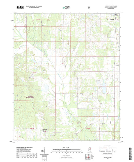 Buena Vista Mississippi US Topo Map Image