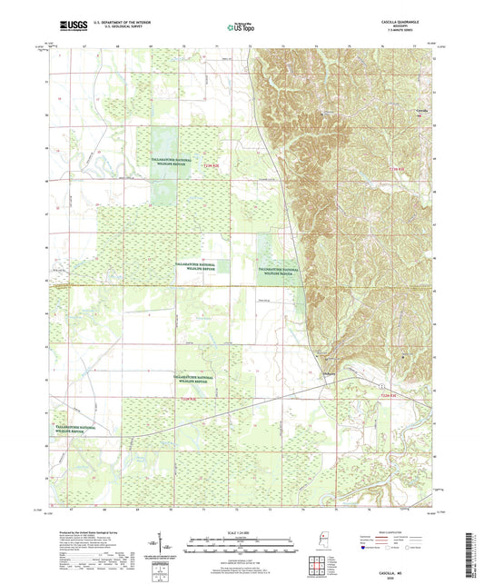 Cascilla Mississippi US Topo Map Image