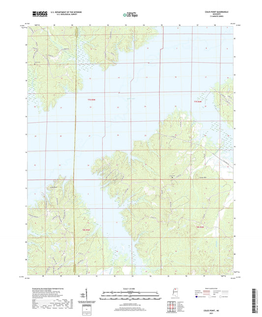 Coles Point Mississippi US Topo Map Image