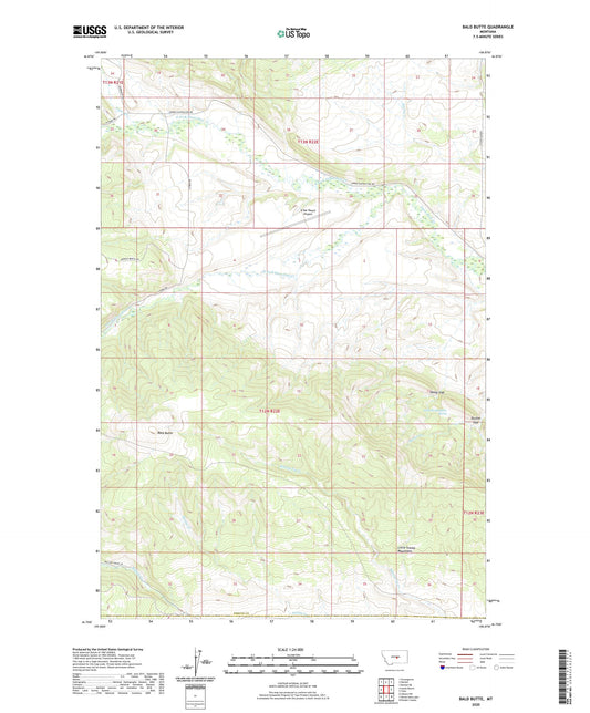 Bald Butte Montana US Topo Map Image
