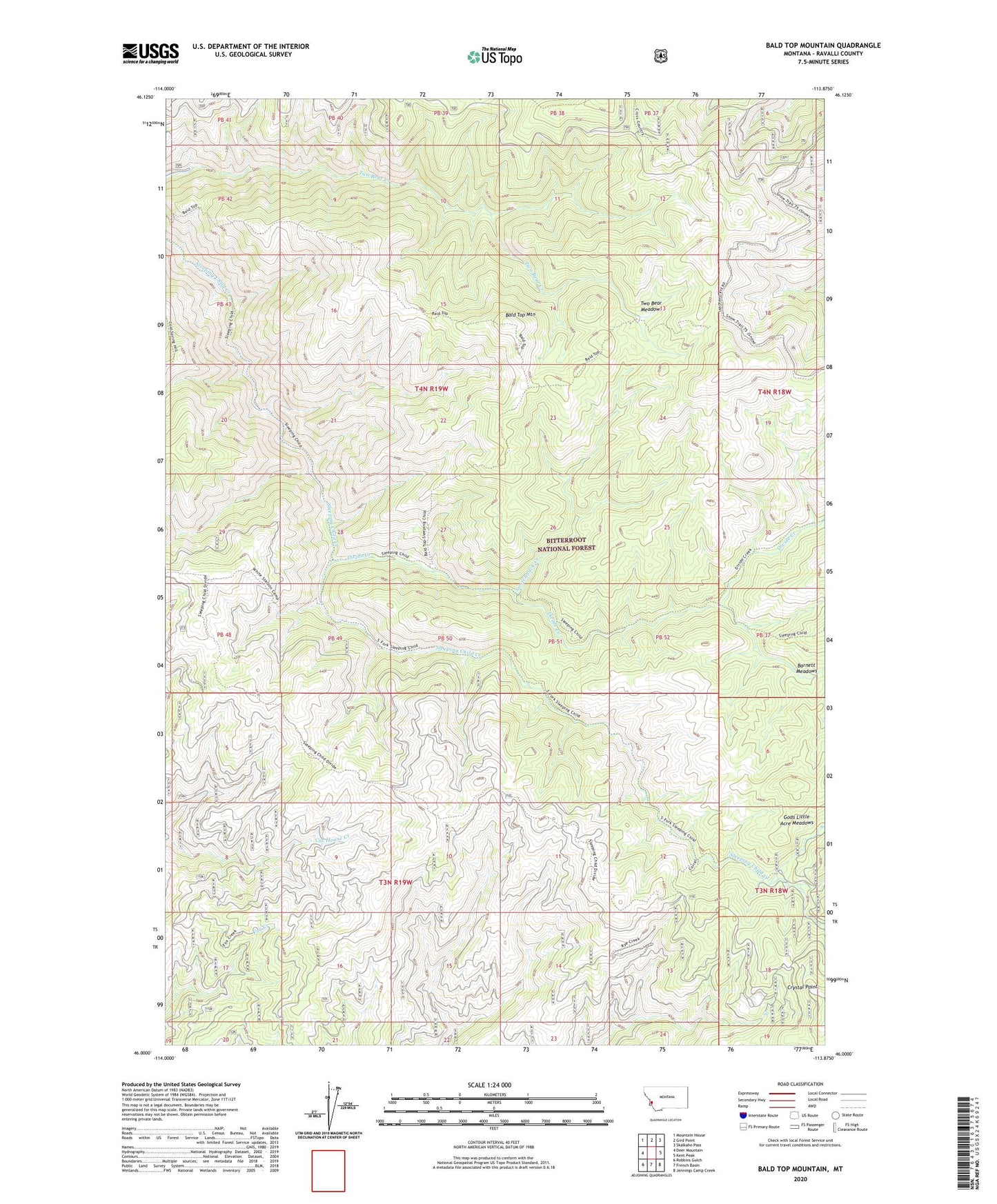 Bald Top Mountain Montana US Topo Map Image