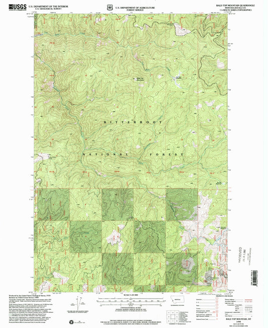 Classic USGS Bald Top Mountain Montana 7.5'x7.5' Topo Map Image