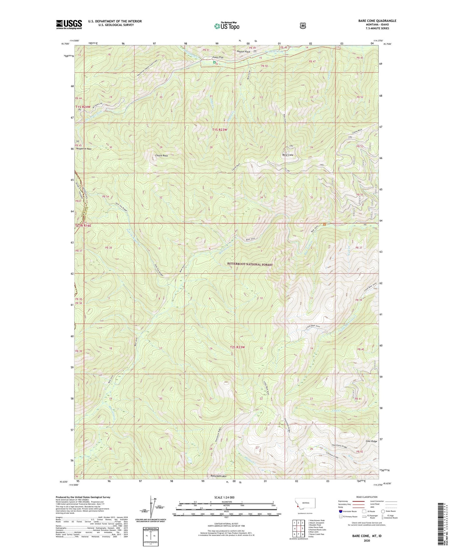Bare Cone Montana US Topo Map Image