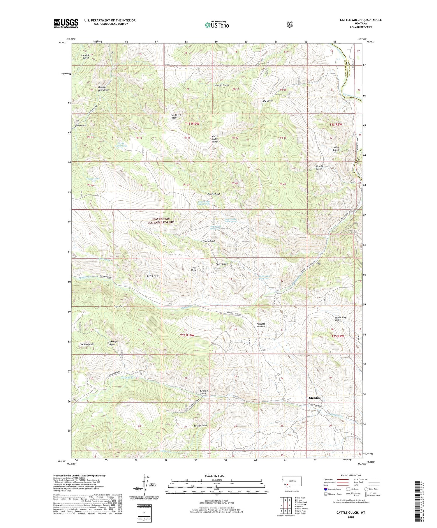 Cattle Gulch Montana US Topo Map Image