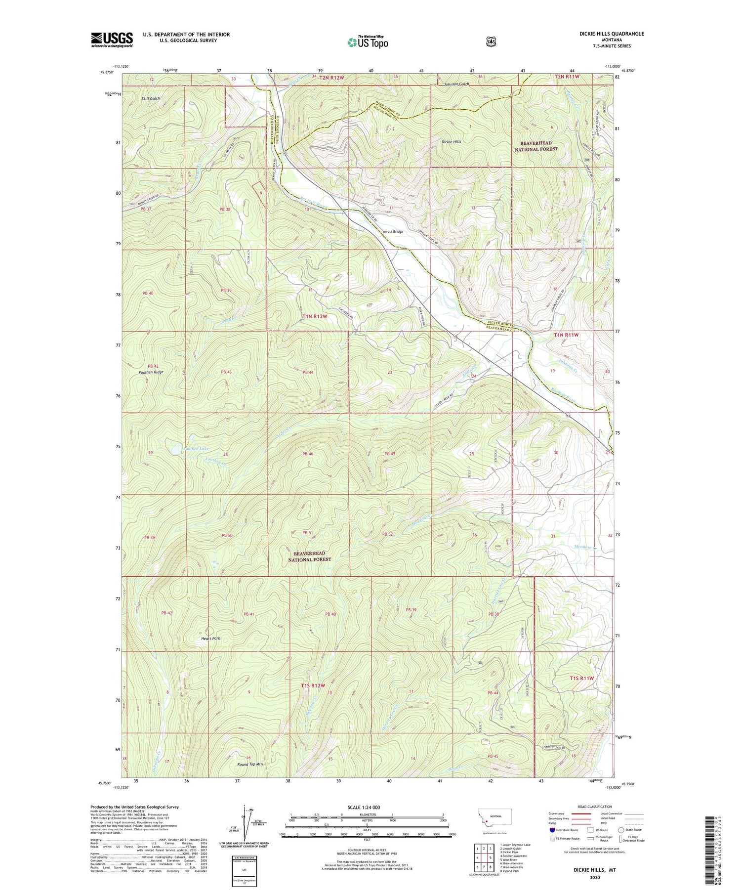 Dickie Hills Montana US Topo Map Image