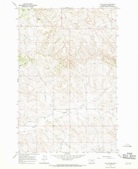 Classic USGS Hay Coulee Montana 7.5'x7.5' Topo Map Image