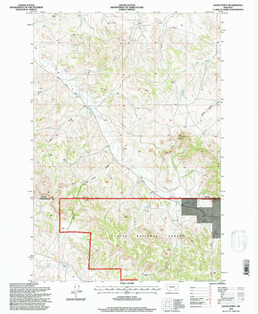 Classic USGS Hayes Point Montana 7.5'x7.5' Topo Map Image