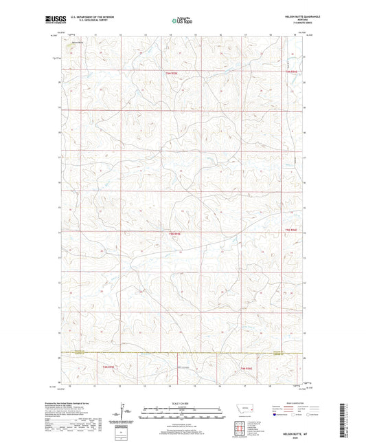 Nelson Butte Montana US Topo Map Image