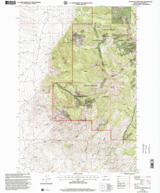 Classic USGS Old Baldy Mountain Montana 7.5'x7.5' Topo Map Image