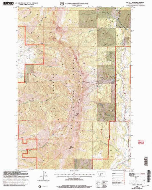 Classic USGS Saddle Peak Montana 7.5'x7.5' Topo Map Image