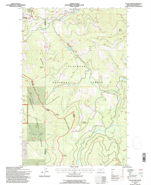 Classic USGS Sylvia Lake Montana 7.5'x7.5' Topo Map Image