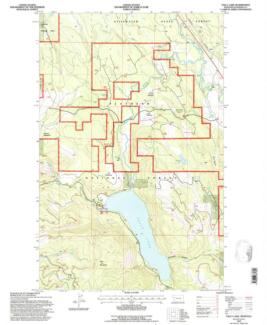 Classic USGS Tally Lake Montana 7.5'x7.5' Topo Map Image