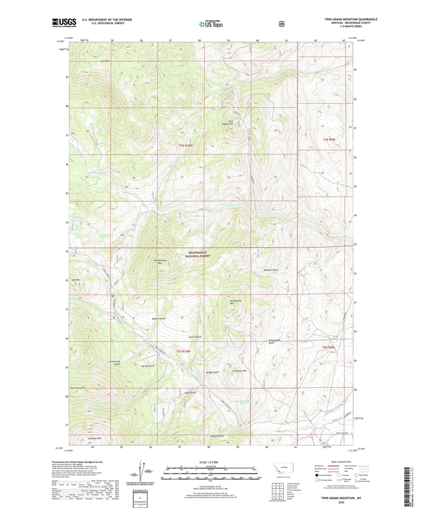 Twin Adams Mountain Montana US Topo Map Image
