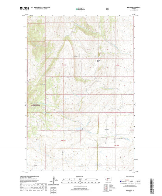 Wallrock Montana US Topo Map Image