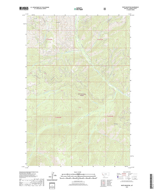 White Mountain Montana US Topo Map Image