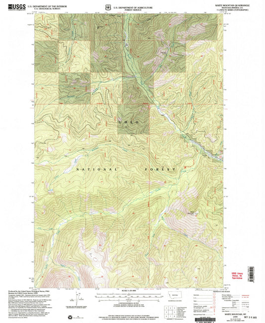 Classic USGS White Mountain Montana 7.5'x7.5' Topo Map Image