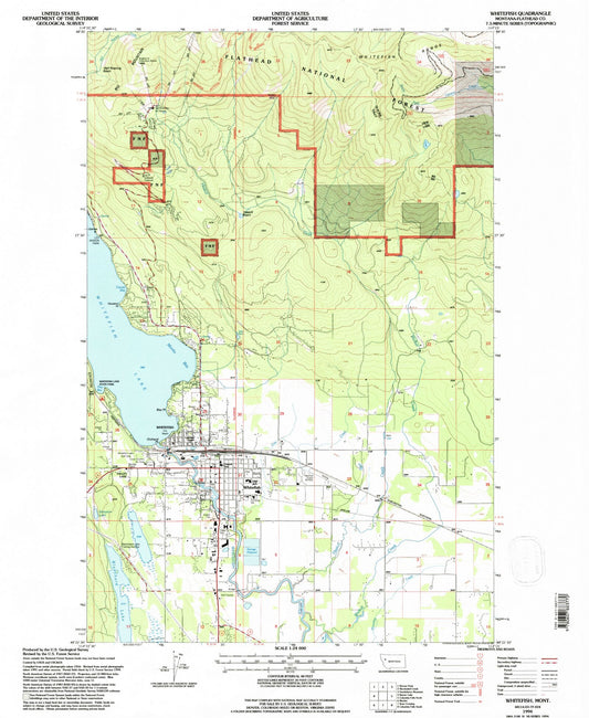 Classic USGS Whitefish Montana 7.5'x7.5' Topo Map Image
