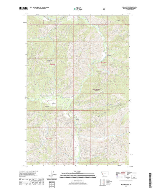 Williams Peak Montana US Topo Map Image