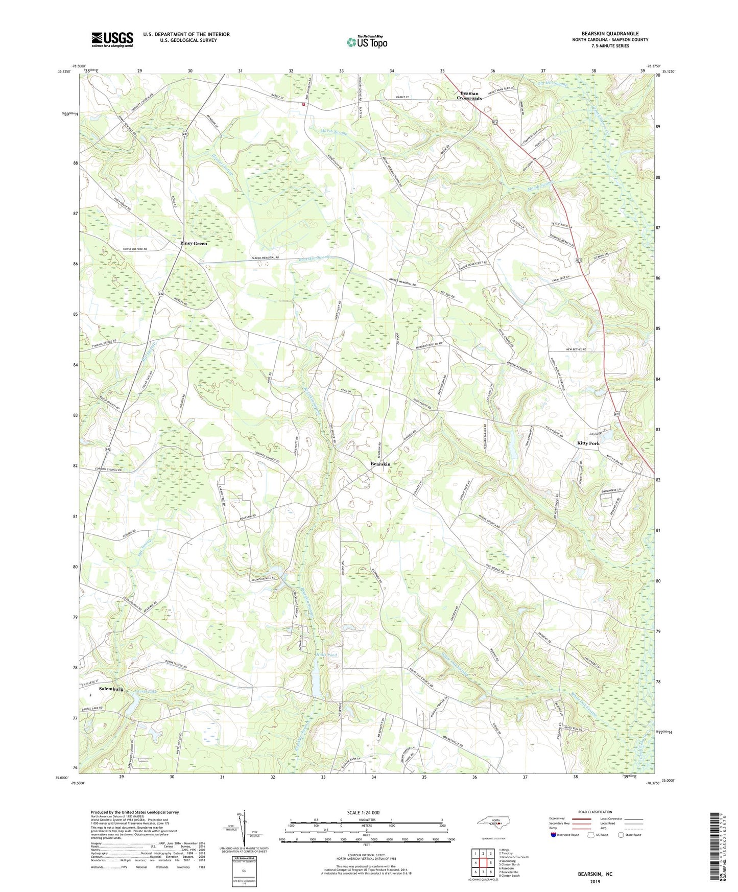 Bearskin North Carolina US Topo Map Image