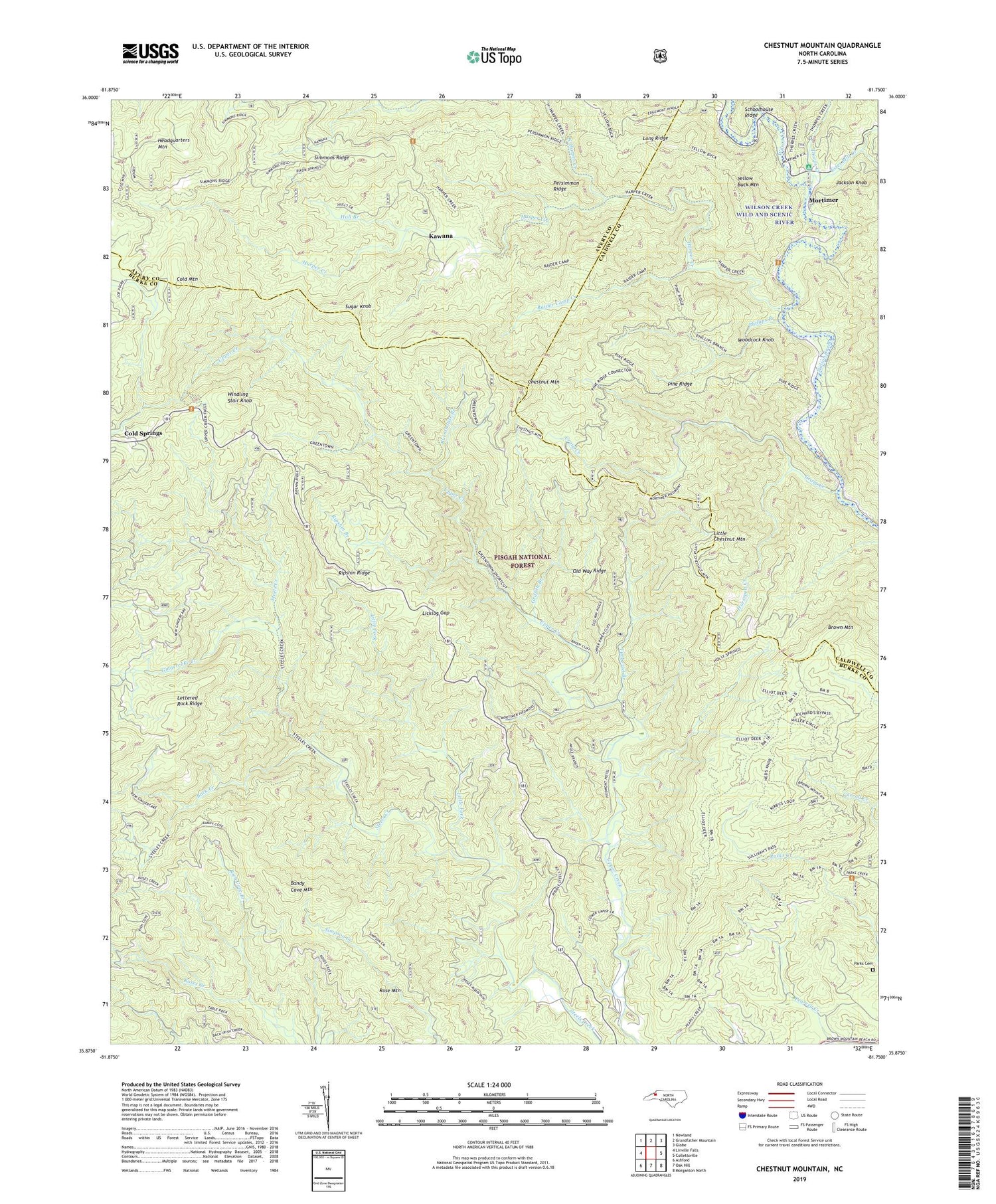Chestnut Mountain North Carolina US Topo Map Image