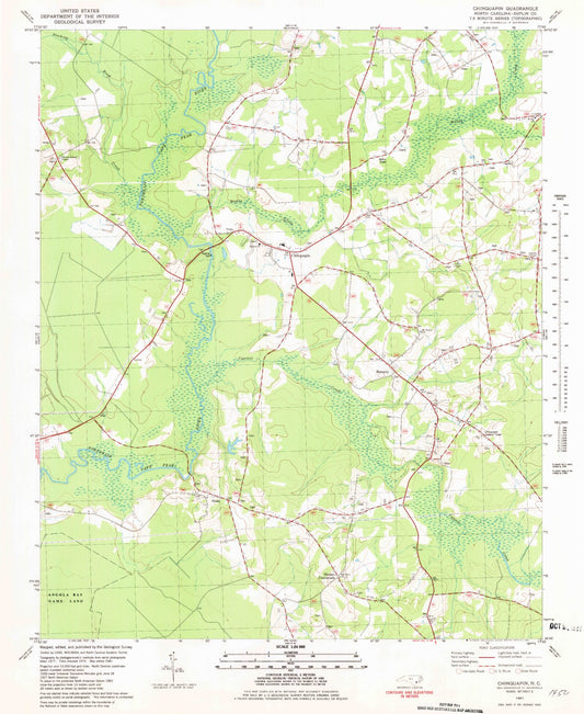 Classic USGS Chinquapin North Carolina 7.5'x7.5' Topo Map Image