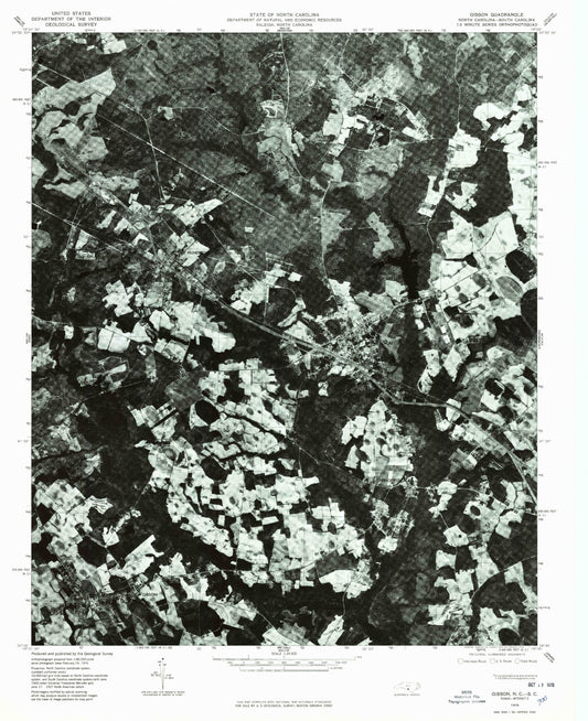Classic USGS Gibson North Carolina 7.5'x7.5' Topo Map Image